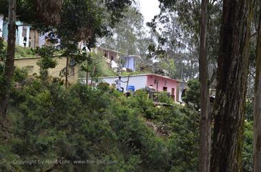 Nilgiri-Blue-Mountain-Train,  Coonoor - Ooty_DSC5514_H600